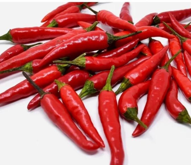 لمنع تجلط الدم في العروق.. تعرفي على أبرز طرق تنشيط الدورة الدموية