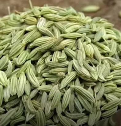 الشمر وفوائدة الصحية للكلى