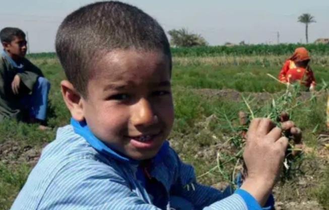 مصر.. قواعد صارمة لتنظيم تشغيل الأطفال وتدريبهم