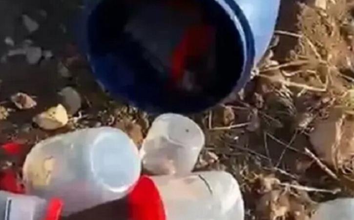 العثور على 21 جنينا بشريا في حاوية نفايات بمقبرة في تركيا