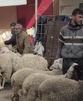 "أسعار جنونية وقلوب مكسورة".. عيد بلا أضاحٍ في غزة