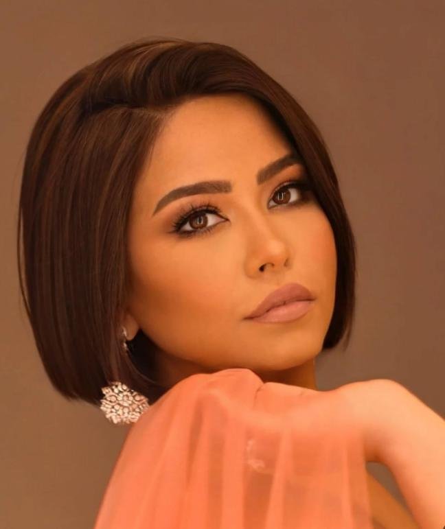 الفنانة شيرين تتهم طليقها حسام حبيب بسرقتها