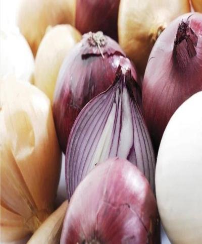 البصل وفوائدة المتعددة..