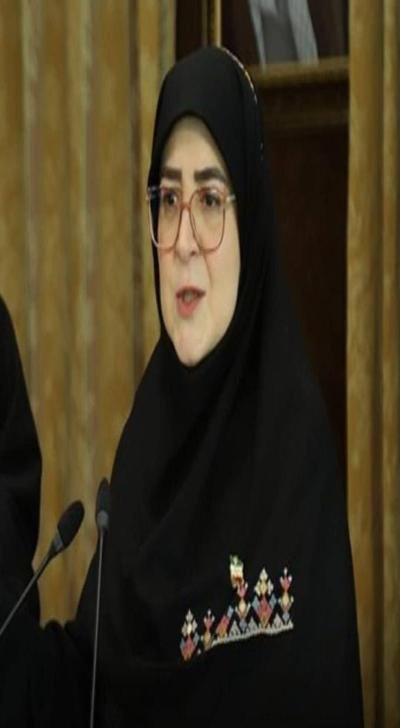 مهاجراني: طائرتنا الجديدة لم يتبق منها سوى ذيلها