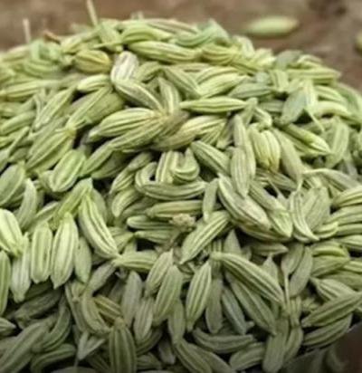 الشمر وفوائدة الصحية للكلى